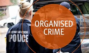Image result for Organized Crime Definition