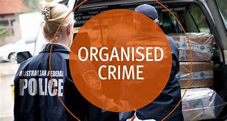 Image result for US Police Organised Crime Unit