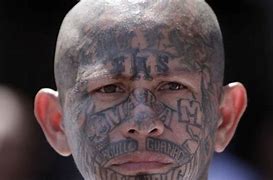 Image result for MS-13 Gang Tags