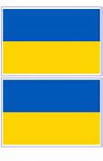 Image result for Ukraine War Flag