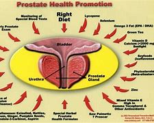 Image result for Prostate 45G