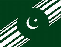 Image result for Alternate Pakistan Flag