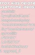Image result for Stray Kids Username Ideas