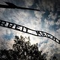 Image result for Concentration Camp Museum