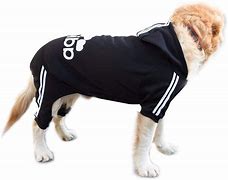 Image result for Adidas Dog Hoodie