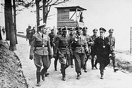 Image result for Himmler Arrest