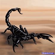 Image result for Black Scorpion Drawing