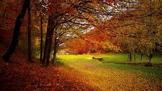 Image result for Autumn Wallpaper 1600 X 900