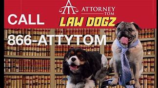 Image result for Dog Lawyers Treatos