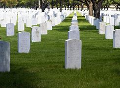 Image result for Mass Graves From Above