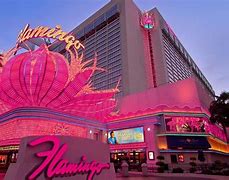 Image result for Flamingo Hotel Las Vegas NV