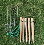 Image result for Rabbit Snare Tail
