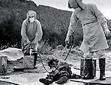 Image result for Unit 731 Japan