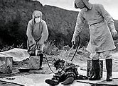 Image result for Unit 731 Human Centipede