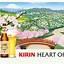 Image result for Kirin Beer Glass Japan