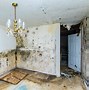 Image result for Mold Cleanup