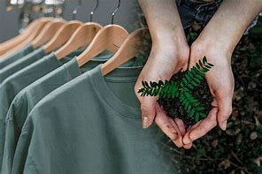 Image result for Sustainable Clothes and Sneakers