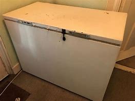 Image result for Largest Chest Freezer