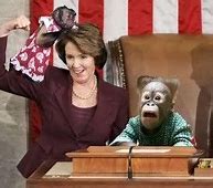 Image result for Funny Nancy Pelosi Christmas