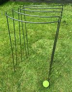 Image result for Outdoor Plant Supports for Tall Plants