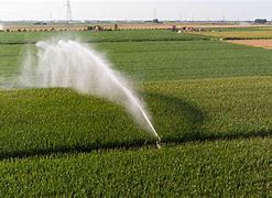 Image result for Crop Irrigation