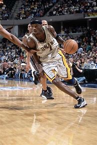 Image result for Jermaine O'Neal Pacers