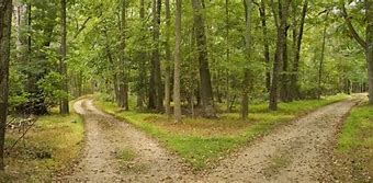 Image result for Public Domain Picture of wooded path fork