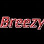 Image result for Logo Breezy App Evoca