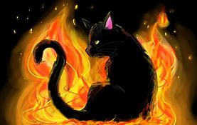 Image result for Blue Fire Cat
