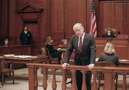 Image result for A Laywer in Court