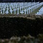 Image result for Kosovo Mass Graves