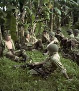 Image result for French Indochina WW2