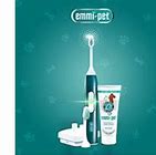 Image result for Adult Teeth Cleaning