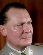 Image result for Hermann Goering Country Home