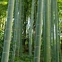 Image result for All Natural Bamboo Cooking Utensils