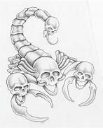 Image result for Evil Scorpion Drawing