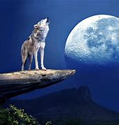 Image result for Wolf Moon