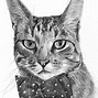 Image result for Drawn Cat