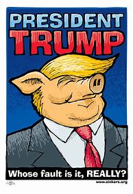 Image result for Trump Stock Cartoon