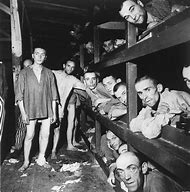 Image result for Concentration Camp Conditions