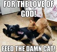 Image result for Cat Talk Funny Quotes