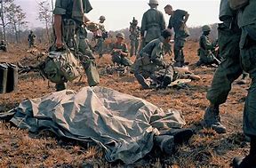 Image result for Black Vietnam War Dead