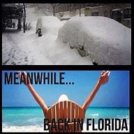 Image result for Florida Snow Meme
