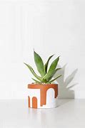 Image result for Dome Plant Protector