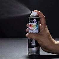 Image result for Fabric Spray Paint Walmart