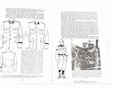 Image result for Waffen-SS