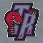 Image result for Toronto Raptors Logo Old School