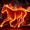 Image result for Animals On Fire