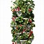 Image result for Strawberry Planters Outdoor Large