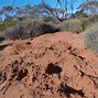 Image result for Scorpion Burrow
